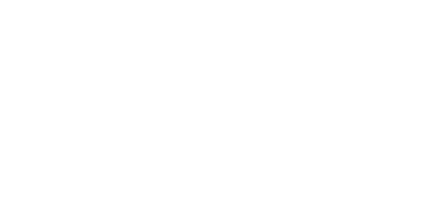 Camp Wise LA